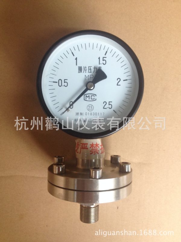 Threaded Diaphragm Pressure Gauge YPF100ML (100mm, -0.1 to 0.6 MPa, 1.6 Accuracy) for Industrial Applications - Gambar 4
