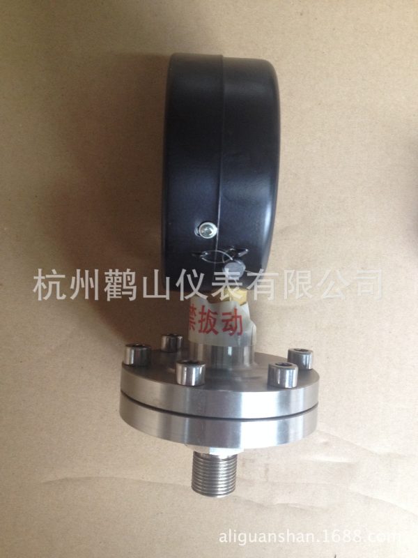 Threaded Diaphragm Pressure Gauge YPF100ML (100mm, -0.1 to 0.6 MPa, 1.6 Accuracy) for Industrial Applications - Gambar 5