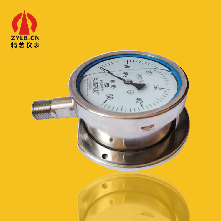 Analog Diaphragm Pressure Gauge YEB-N100 0-50KPa with Radial Back Connection M20*1.5 for Low Pressure Systems - Image 5
