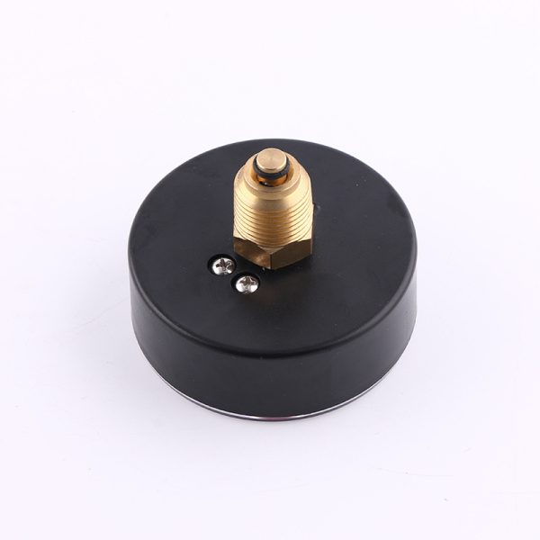 Auxiliary Gauge 80mm Axial Snap-in Iron Case Temperature Pressure Gauge (0-10bar, 0-120°C, CL 1.6) - รูปภาพ 4