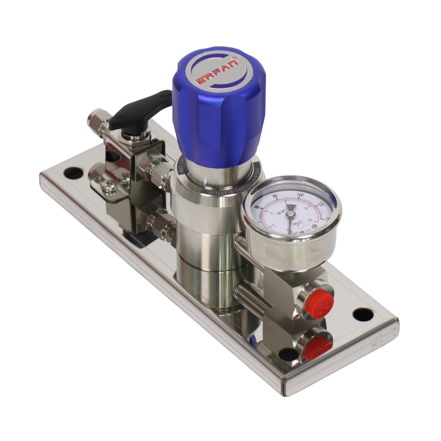 ERFAN EF-R11L-BV-1.0-00-00 Single Stage Pressure Reducing Valve Secondary Terminal Panel for Non-Toxic Gases - Image 5