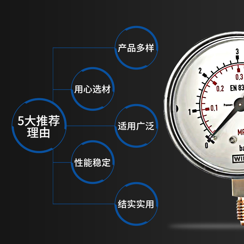 WIKA 111.10 Series Copper Alloy Pressure Gauge (0-6 bar/MPa, CL. 2.5) for HVAC Systems - Image 4
