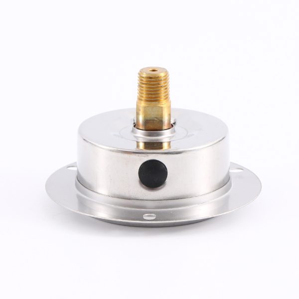 Y63L-BLD Stainless Steel Pressure Gauge (0-100 MPa, 2.5 Accuracy) for Water Hydraulic Oil Pressure - Imagem 4