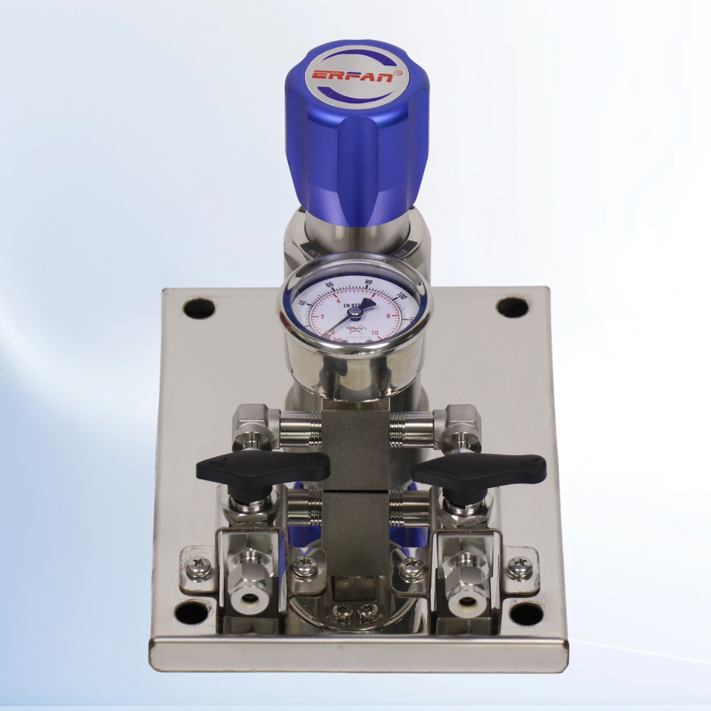 ERFAN EF-R11L-BV-1.0-00-00-2 Secondary Terminal Panel Pressure Reducing Valve for H2 O2 Corrosion Resistant 316L Stainless Steel 0-2.5 Bar Rated - Image 4