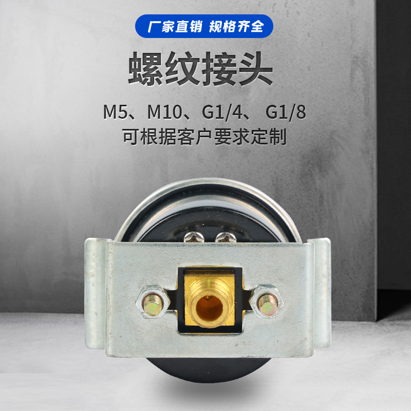 Mounted Pressure Gauge Axial Pressure Gauge Y40 (0-1 MPa) for Pneumatic Experiments Replaces NC-Y40-BP01 - Image 4