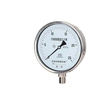 Stainless Steel Diaphragm Pressure Gauge YE150BF Micro Pressure Meter 0-25 KPa Panel Mount Industrial Process Control for Gas HVAC Systems