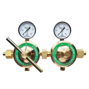Hydrogen Pressure Reducer YQQ-11 (0-2.5 MPa / 0-25 MPa Output, Dual Gauge) for Hydrogen Gas Pipeline Systems