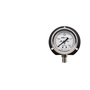 Breidys YN60T Pressure Gauge (0-1.6Mpa, Radial Mount) for Marine, Air, Water HVAC Systems Replaces YN60T