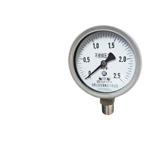 HEFEI SHANGYI Stainless Steel Pressure Gauge Y-100 (0-2.5MPa, M20*1.5, 1.6 Precision) for Water, Air, Oil, Hydraulic Systems