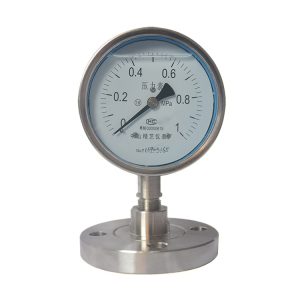Flange Connection Diaphragm Pressure Gauge YMNF-100 Stainless Steel Pressure Meter (0-1 MPa)
