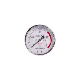 Axial Anti-Vibration Pressure Gauge YN100Z Glycerin Filled Hydraulic Pressure Meter (0-1.6 MPa, 100mm, 1.6 Accuracy) for HVAC Systems