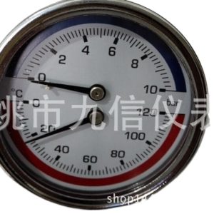 Temperature Pressure Gauge Temp Pressure Meter (0-10 Bar, -20-120°C, Stainless Steel Casing) for HVAC Systems
