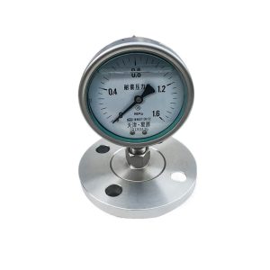 Explosion-Proof Pressure Gauge YFN-100BMP Diaphragm Vacuum Pressure Gauge Stainless Steel Anti-vibration Oil Gauge Flange Pressure Gauge 0-1.6 MPa