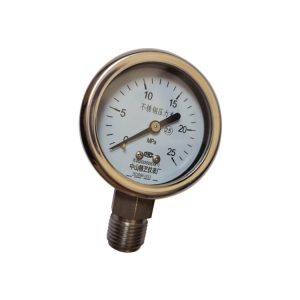 Full Stainless Steel Pressure Gauge Oil Filled Shockproof Radial YBN60 25MPa G1/2