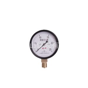 Membrane Pressure Gauge YE100 (0-25 kPa, Radial Connection, 100mm Diameter) for Gas Meters & Micro Pressure Measurement compatible with Natural Gas Systems