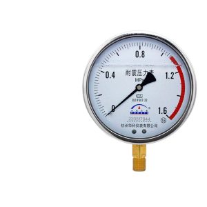 Yongyi YN150 Radial Type Vibration-Proof Pressure Gauge 0-1.6MPa for Water Oil Gas Systems