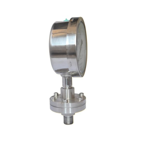 精艺 YTP-100ML Stainless Steel Diaphragm Pressure Gauge (0-1.6 MPa, 100mm, Radial Threaded Connection) Shock Resistant Pressure Meter for HVAC Systems - 이미지 2