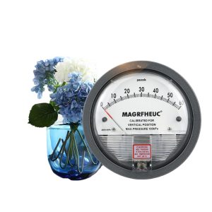 Differential Pressure Gauge TE2000 (0-60 Pascals, 100 kPa Max Pressure) for HVAC Systems