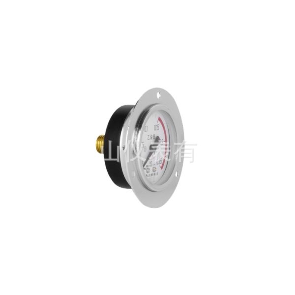 Acetylene Pressure Gauge YY60ZT Axial with Rim, Oil-Forbidden, 0.25 MPa for Gas Systems - Image 2