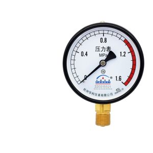 Yongyi Y100 Radial Pressure Gauge (0-1.6MPa) for Air Compressor Tank Water/Oil/Gas Pressure Monitoring, Replaces Y100-01