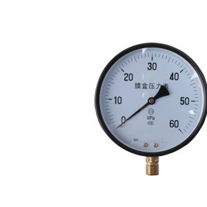 Membrane Diaphragm Pressure Gauge YE-150 Micro Pressure Gauge for Water Oil Gas Pressure Measurement (±2.5% Accuracy, M20*1.5 Thread)