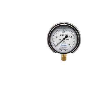 Breidys YN100T Shock Resistant Pressure Gauge 1.6 Accuracy MPa for Hydraulic Pneumatic Oil Pressure Systems