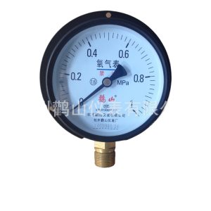 YO100T Oxygen Pressure Gauge (0-0.6 MPa, 1.6 Accuracy, Radial) for Industrial Automation Instrument Replaces 14031985 34