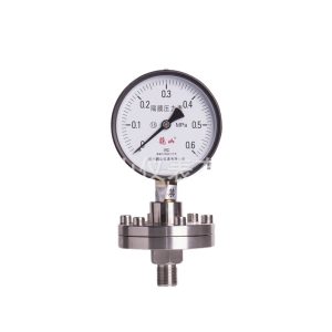 Threaded Diaphragm Pressure Gauge YPF100ML (100mm, -0.1 to 0.6 MPa, 1.6 Accuracy) for Industrial Applications