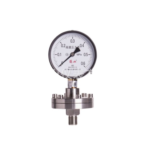 Threaded Diaphragm Pressure Gauge YPF100ML (100mm, -0.1 to 0.6 MPa, 1.6 Accuracy) for Industrial Applications