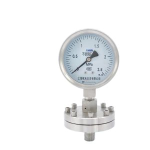 EWON Stainless Steel Diaphragm Pressure Gauge Y-100BF/ML (100mm, Threaded, 1.6/1.0 Accuracy) for HVAC Systems