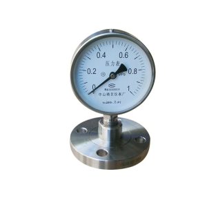 Jingyi Stainless Steel Diaphragm Pressure Gauge YBF100MF DN25 1MPa with Flange Connection