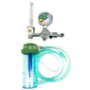 G5/8 Oxygen Regulator with Flow Meter and Humidifier Bottle (0.1-0.1 MPa Pressure, 1-15 L/min Flow) for Medical Oxygen Inhaler Systems, Replaces YQY-740L