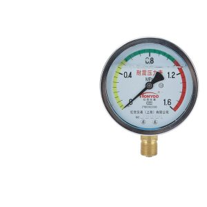 HONGYOU YN100 Shock-Resistant Pressure Gauge (0-1.6MPa / 16kg) for HVAC Systems