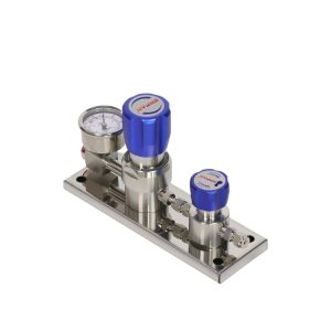 Two-Stage Terminal Pressure Reducing Regulator Valve with Gauge for Acid-Alkali Gas, 316L Stainless Steel 0-2.5MPa, Cv=0.08