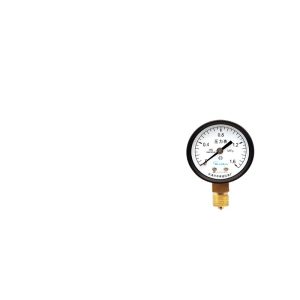 Factory Direct Y50 Pressure Gauge (0-1.6MPa, PT1/4, M14*1.5) for Pneumatic Water Pressure Systems