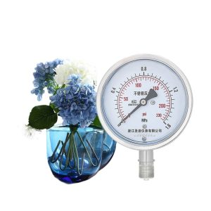Y100BF Stainless Steel Pressure Gauge (0-250MPa, M20*1.5 Thread, 1% Accuracy) for Water, Oil, Gas Systems