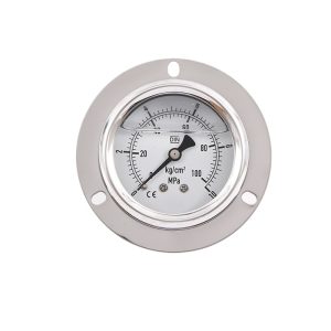 Y63L-BLD Stainless Steel Pressure Gauge (0-100 MPa, 2.5 Accuracy) for Water Hydraulic Oil Pressure