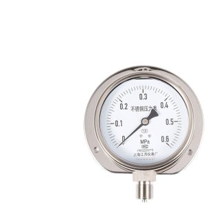 Radial Stainless Steel Pressure Gauge Y100BF/T (0-0.6MPa) for Industrial and HVAC applications