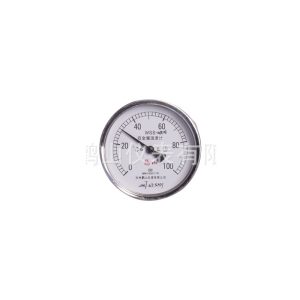 Bi-metallic Thermometer WSS-481W (0-100℃, 100mm Dial) for Industrial HVAC Systems