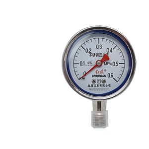 Hongqi Y-60BF 304 Stainless Steel Pressure Gauge - High Temperature and Corrosion Resistant Acid-Alkaline Manometer