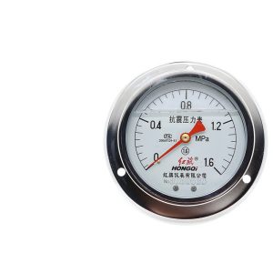 Hongqi YTN-100ZT Axial Anti-vibration Pressure Gauge with Front Side Mounting, Panel Back Connection, Seismic Pressure Meter