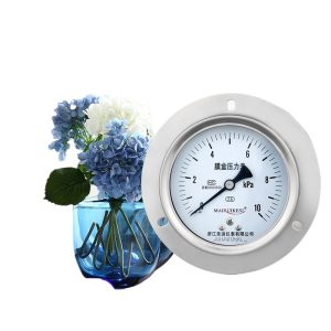 Axial Diaphragm Pressure Gauge YE100ZTBF with Flange, 304 Stainless Steel, KPa Range Meter for HVAC Systems