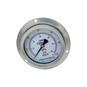 Ewon YTF-100HZT/Y-103BF Stainless Steel Pressure Gauge 0-60MPa