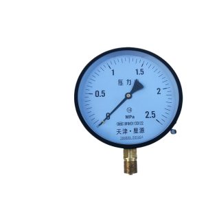 Tianjin Xinyuan Y-150 Radial Pressure Gauge (0-2.5 MPa, 1.6 Accuracy) for HVAC Systems, Replaces 366889_000464