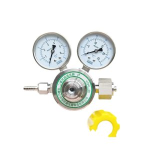YQHL-40 Sulfur Dioxide Gas Pressure Regulator (0-0.6 MPa, 0-2.5 MPa) for Corrosive Gases, Stainless Steel Structure