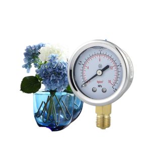 Durable YN50 Pressure Gauge (0-1.6MPa, 50mm Dial) for Water, Oil, Air Systems