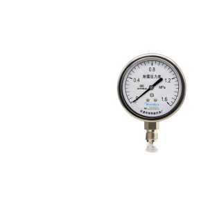 Breidys YN75 Shock-Resistant Pressure Gauge (0-1.6MPa, 2.5/1.6 Accuracy) for Marine Applications - Replaces YN75 Series
