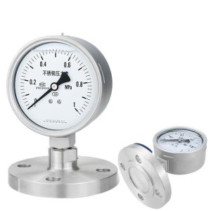 Fanged Connection Stainless Steel Diaphragm Pressure Gauge YTP100BF (0-1 MPa, 1.6 Accuracy) for Water/Gas/Oil/Liquid Pressure Measurement