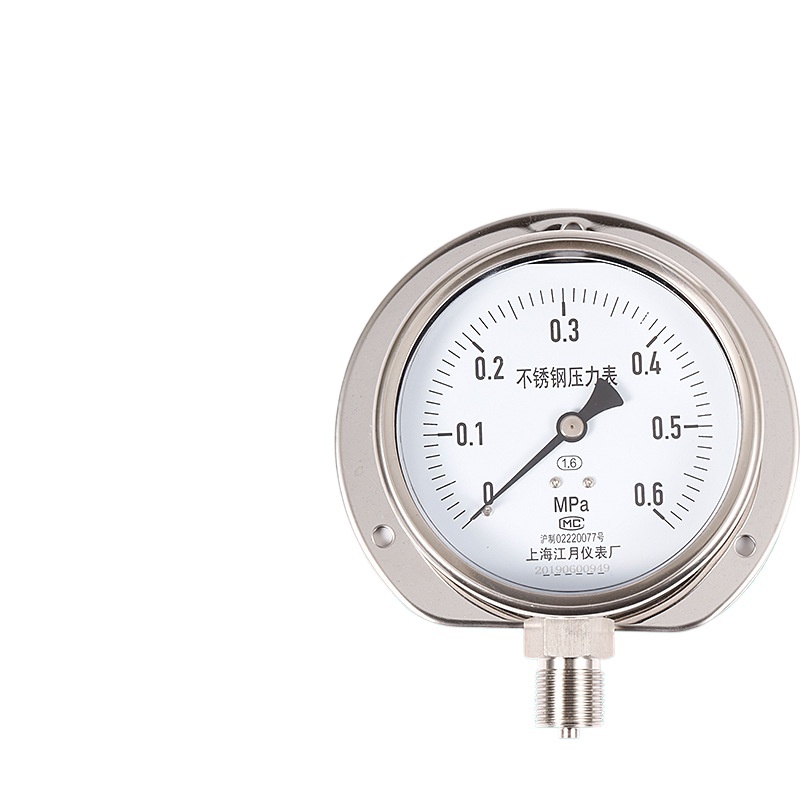 Radial Stainless Steel Pressure Gauge Y100BF/T (0-0.6MPa) for Industrial and HVAC applications - Image 2