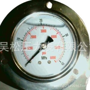 Professional Stainless Steel Pressure Gauge 0-40MPA (6000PSI) Oil Filled Dial Gauge with Back Flange Mount for Industrial Applications